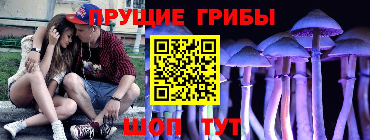 Вичуга  Псилоцибиновые грибы Psilocybe  Вход с VPN  продажа наркотиков  Галлюциногенные грибы Cubensis 