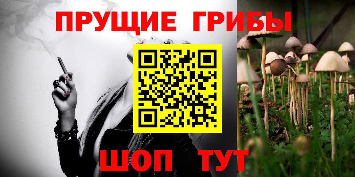 Псилоцибиновые грибы прущие грибы Вичуга